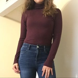 Plum Aerie Turtleneck Sweater